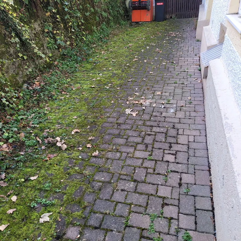 Pflegebereich im Außenumfeld eines Objekts