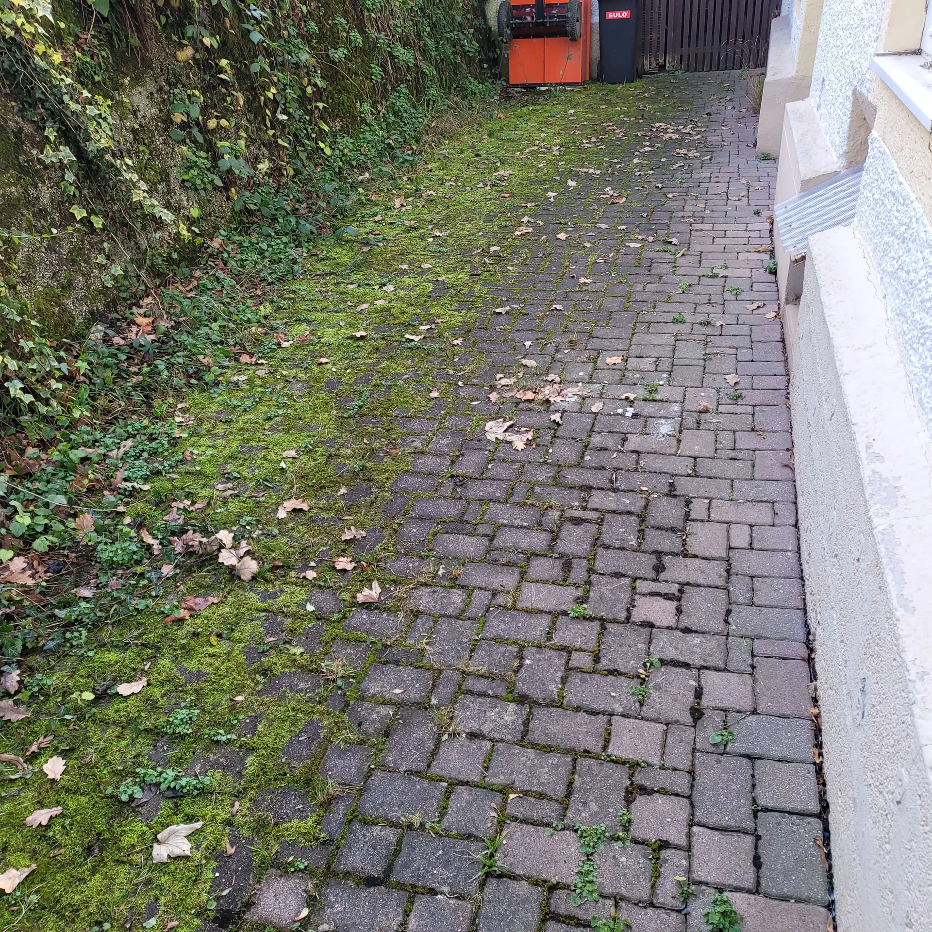 Pflegebereich im Außenumfeld eines Objekts