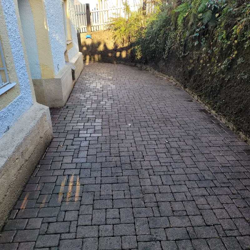 Gepflegter Pflasterweg im direkten Objektumfeld